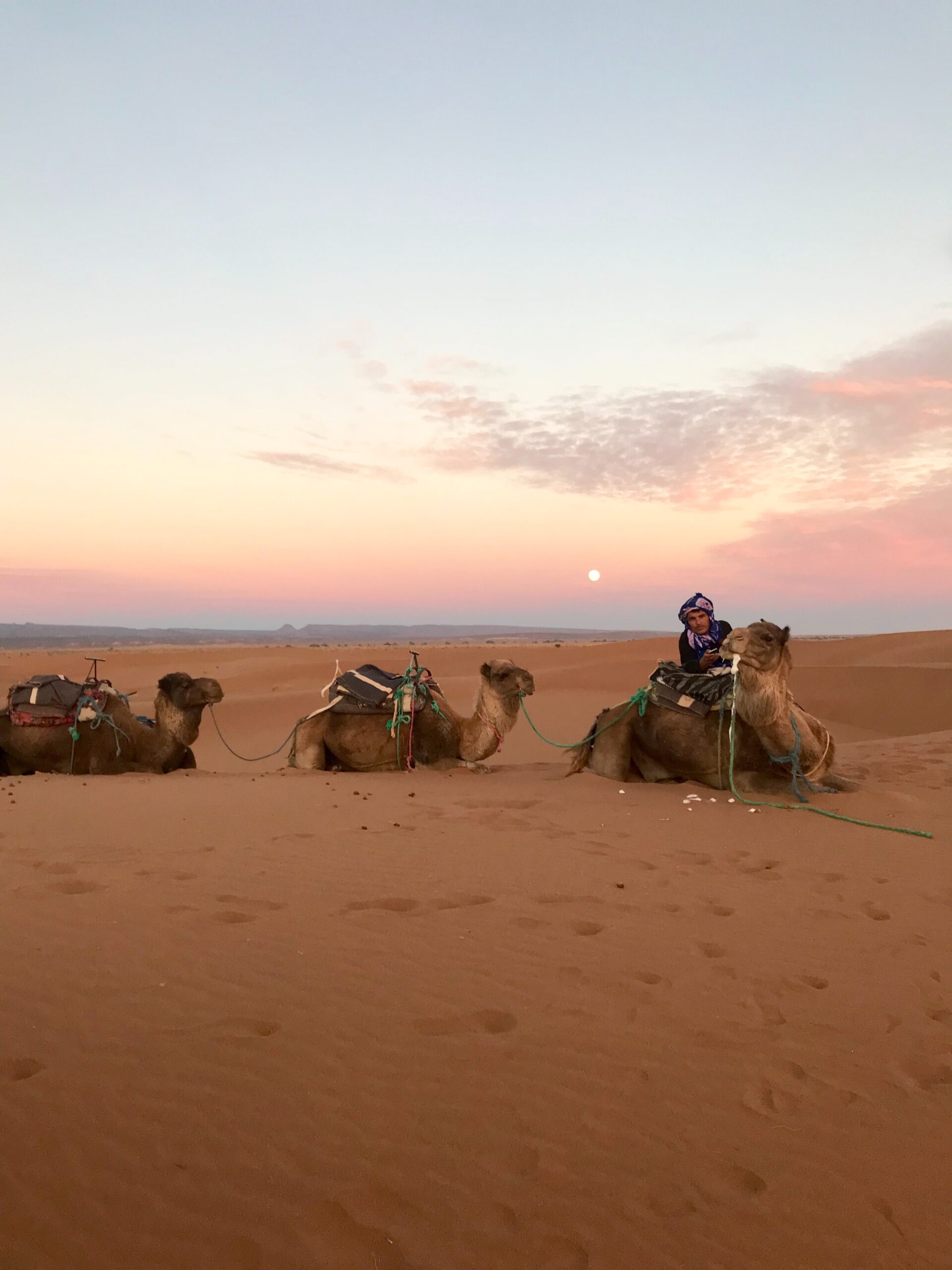 Excursiones al Desierto desde Marrakech: Tu Aventura Única