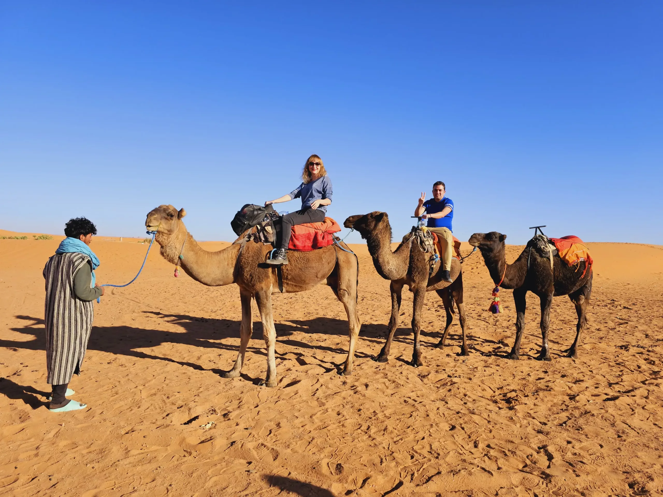 camellos en merzouga africa morocco travel slider